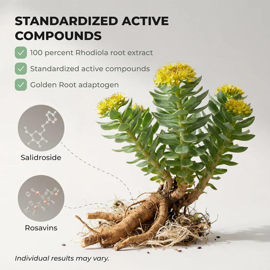 Rhodiola Rosea